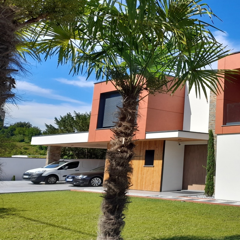 Maison moderne palmier architecture contemporaine Façade moderne d'une maison aux tons terre cuite et blanc, devant une pelouse verte avec un palmier central, sous un ciel bleu.